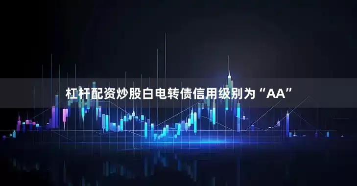 杠杆配资炒股白电转债信用级别为“AA”