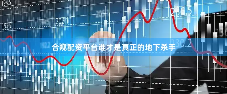 合规配资平台谁才是真正的地下杀手
