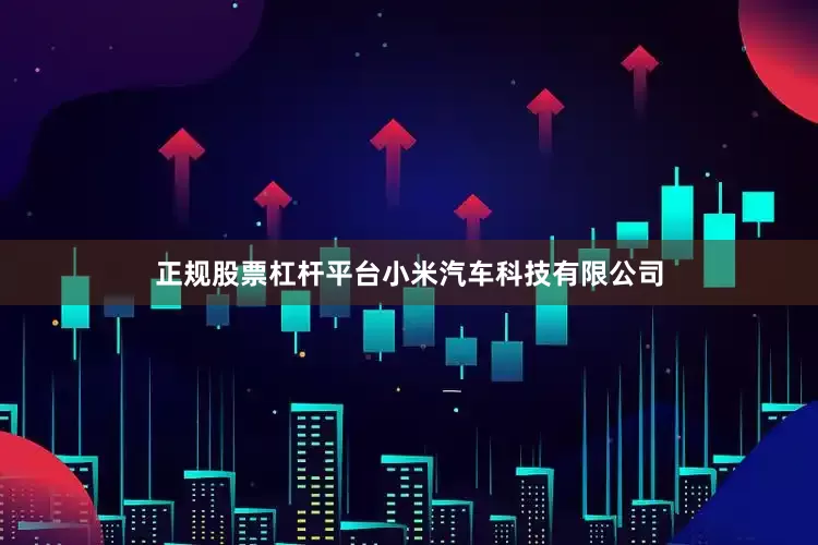 正规股票杠杆平台小米汽车科技有限公司