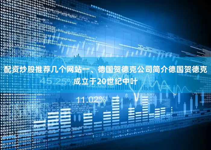 配资炒股推荐几个网站一、德国贺德克公司简介德国贺德克成立于20世纪中叶
