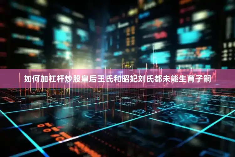 如何加杠杆炒股皇后王氏和昭妃刘氏都未能生育子嗣