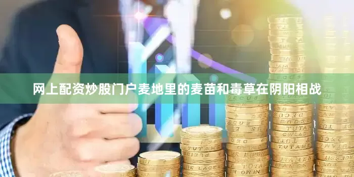 网上配资炒股门户麦地里的麦苗和毒草在阴阳相战