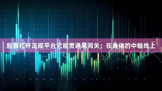 股票杠杆正规平台它能贯通尾闾关；在身体的中轴线上